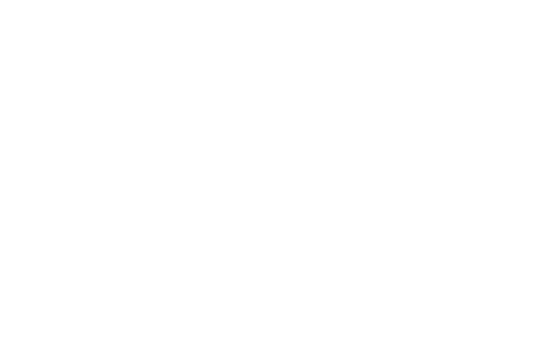 logo_cervi