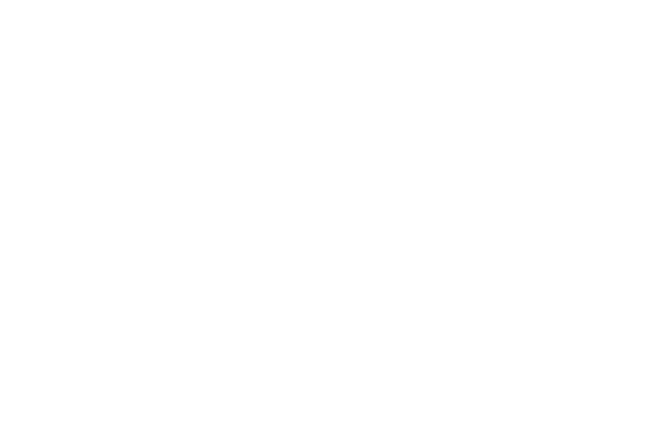 logo_skanska