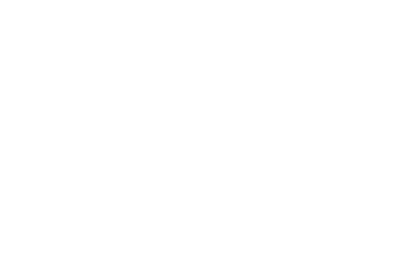 logo_viafin